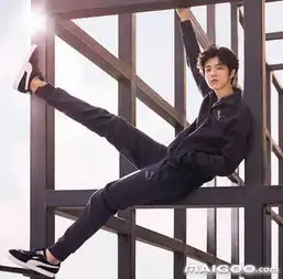 明星代言的男装品牌有哪些男装代言人大盘点