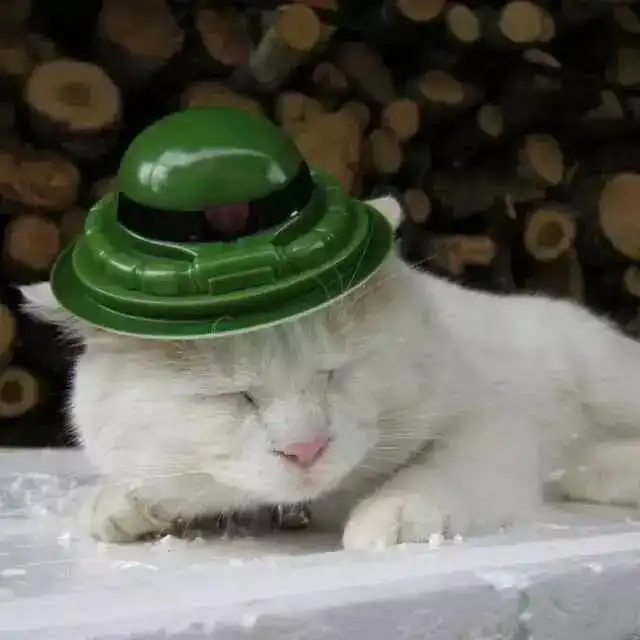 谱时推荐为什么摄影师都不爱给女朋友拍照