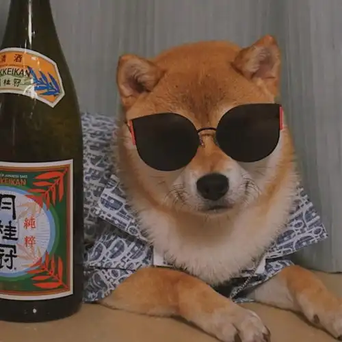 学够勾儿拍照适合周末发的文案