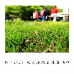 献礼毕业季湘大版你曾是少年mv首发致敬你我的青葱岁月