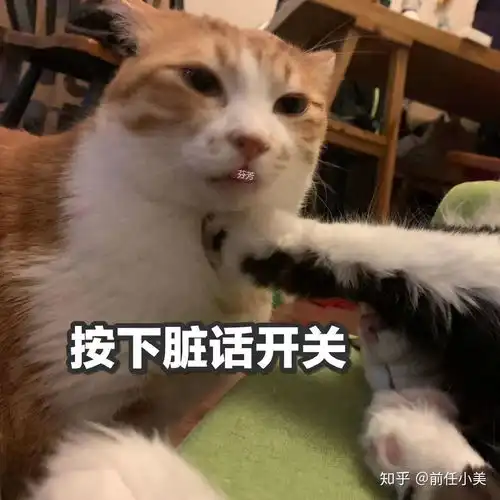 女生怎么样可以脱单