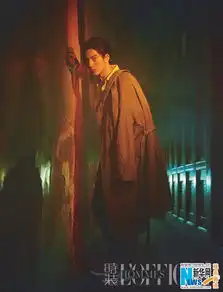 不一样井柏然诠释摇滚风格大片组图