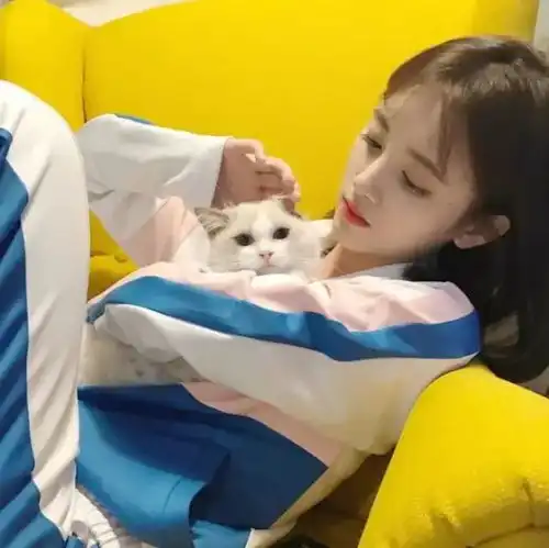 让女生陶醉的肉麻情话,男生可以试试