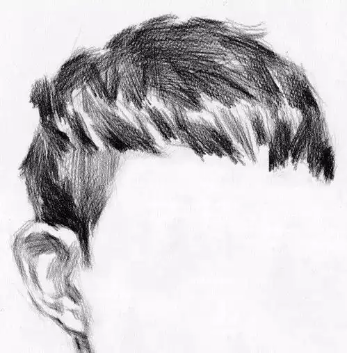 素描头像中头发的处理技巧,掌握了必得高分