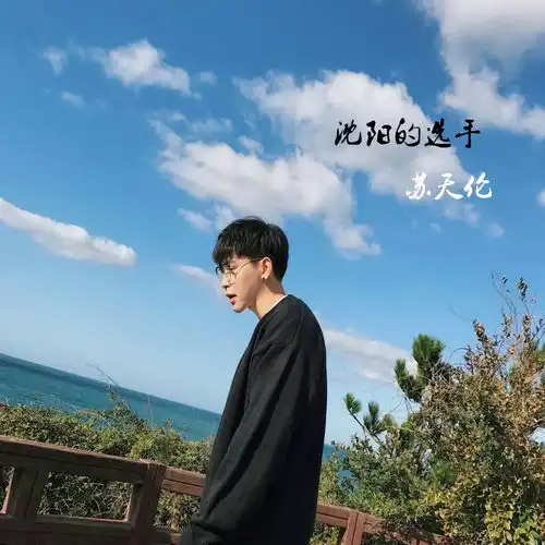 疯狂crazy苏天伦高音质在线试听疯狂crazy歌词歌曲下载酷狗音乐