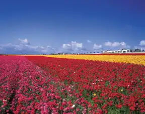 风景素材创意广告背景设计风景景观图片