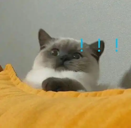 微波炉爆炸导致双目失明只因放入了它