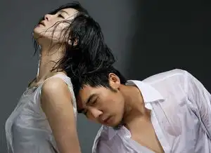 史上最全属相婚配表你的属相配什么最好很火很火