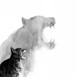 bigcat