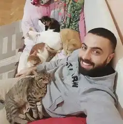 一个男人和9只猫的故事