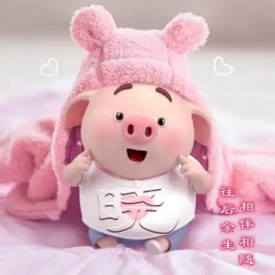 可爱小猪姓氏头像图片,往后余生相伴相随