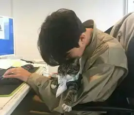 只有爱你如命的男人,才会在qq上这样回你信息