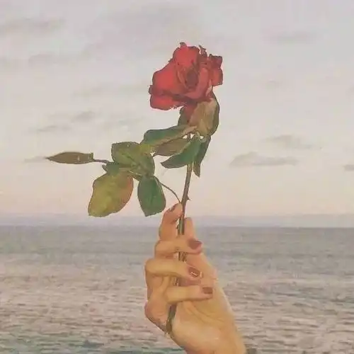 眼中有笑,心中有暖,于人生就是简单的幸福