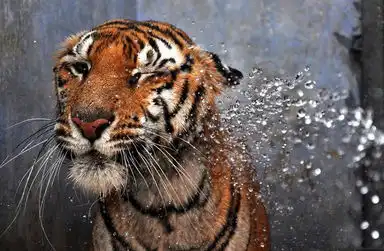 避暑三十六计酷炫的避暑绝佳方式