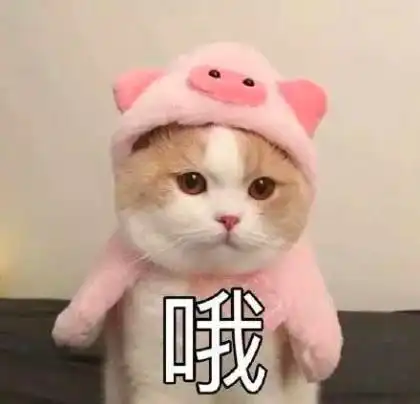 用了不下一百款面膜,回购率最高的是它