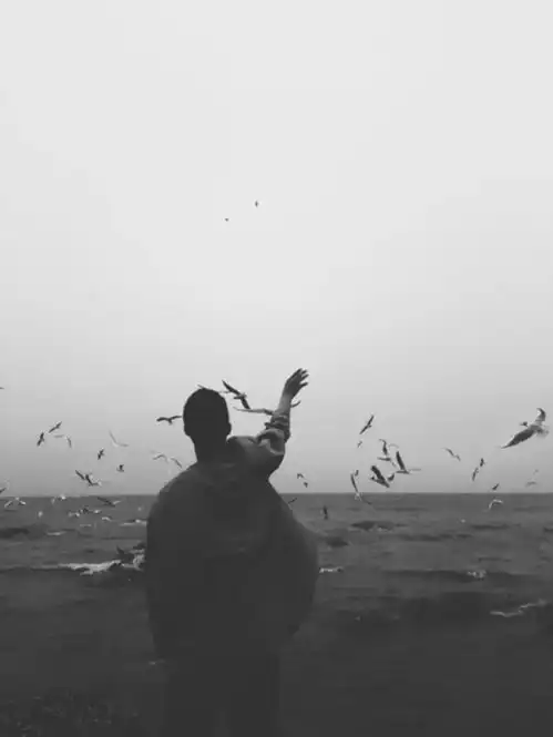 希望世间所有珍惜,都不需要靠失去才懂得