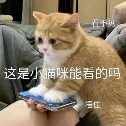 小时候的我vs长大后的我哈哈哈有被冒犯到