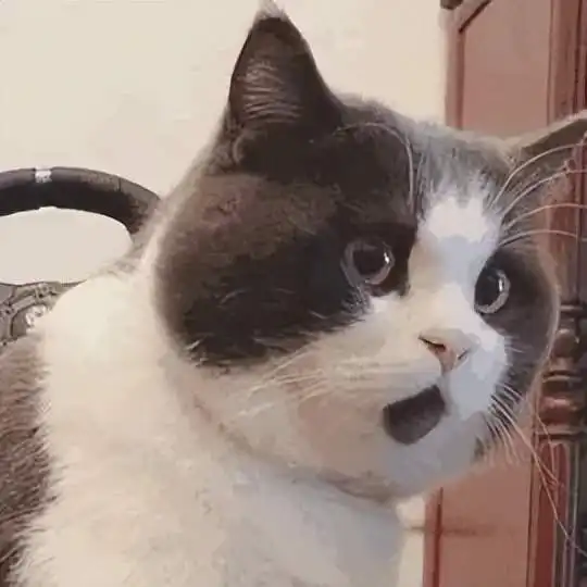 椰树直播间招180以上阳光大男孩椰树你是懂流量密码的