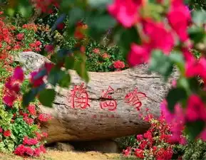 呐呢在厦门只要带100元出门就可以度过完美的一天