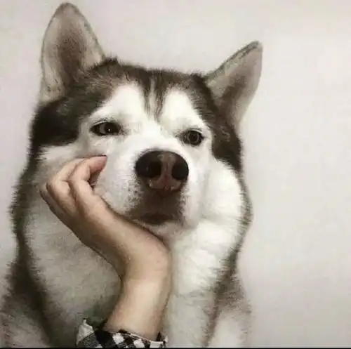 头像丨男生你不在我的世界变成了阴雨天