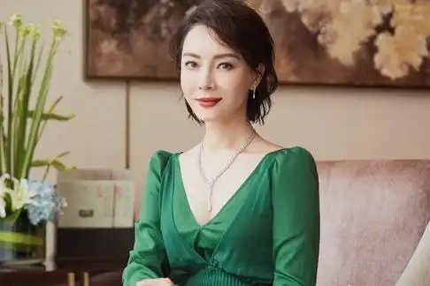 陈数的个人资料和图片陈数电视剧大全集介绍