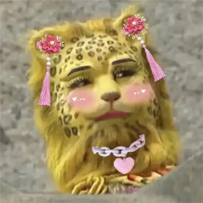 2022没有人能拒绝一只金钱豹头像他就是想发财他有什么错