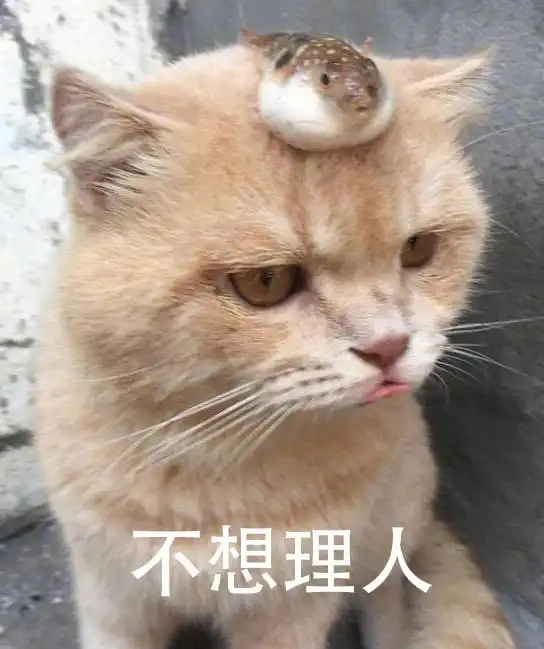 幽默笑话我拿的是我压岁钱,爸爸说帮我存起来,到时候给我用