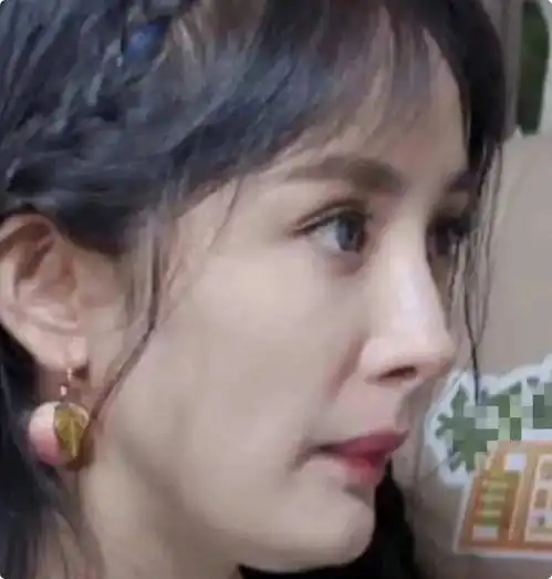 杨幂村妇造型撞脸赵韩樱子,瘪着嘴脖子前倾,被嘲别嚯嚯农村剧了