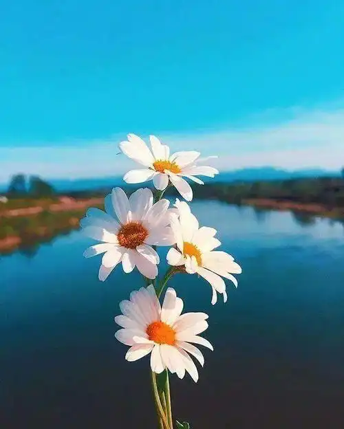 大彻大悟的金句