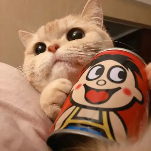 有没有一眼就很舒适的微信头像