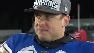 cfl2019赛季格雷杯总决赛记录温尼伯蓝色轰炸机vs.汉密尔顿老虎猫