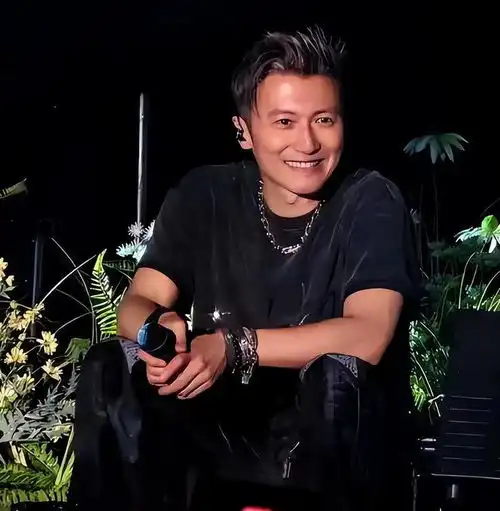 王菲已秘密抵港谢霆锋演唱会连唱29首金曲,不换衫不化妆也疯狂