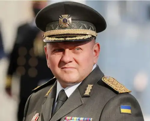 被泽连斯基解雇的前总司令扎卢日尼将出任乌克兰驻英国大使