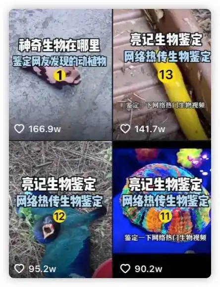 洪敏网络微博千万大v博物杂志背后的男人去做抖音了,一周涨粉150万