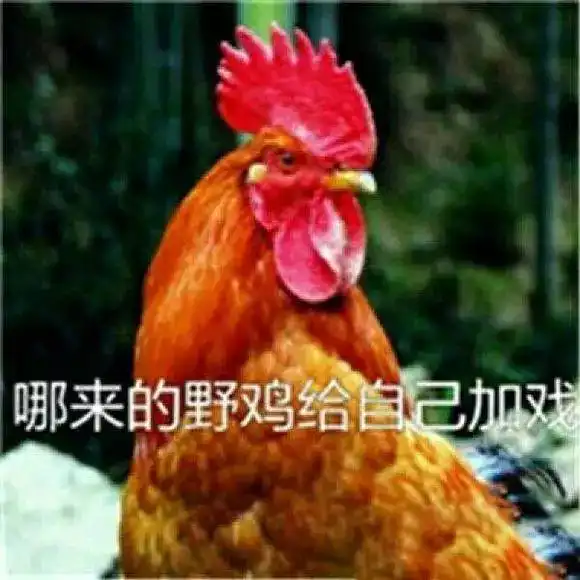 把螺丝做成珠宝还敢卖5万块卡地亚可能是开五金店的奸商