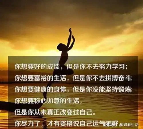 生活不会告诉你路该怎么走,只会教你怎么去适应