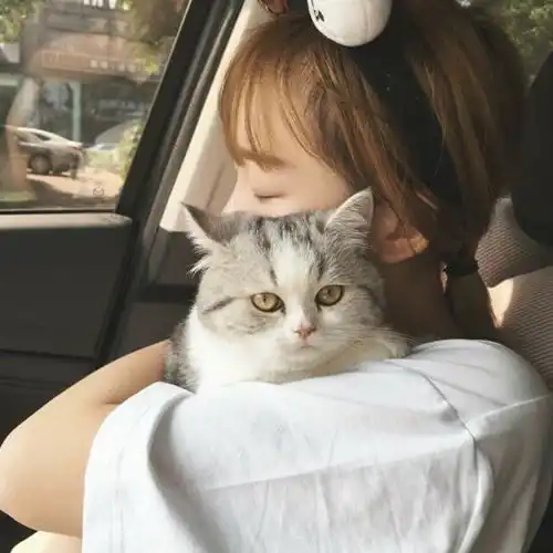 抱猫谈情情侣头像一左一右图片扣扣居