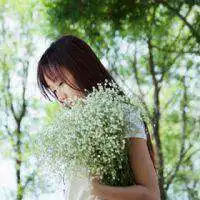 微信树林林立头像微信头像图片大全