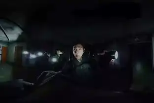 最吓人的韩国电影观感一流,剧情弱鸡