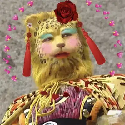 2022没有人能拒绝一只金钱豹头像他就是想发财他有什么错