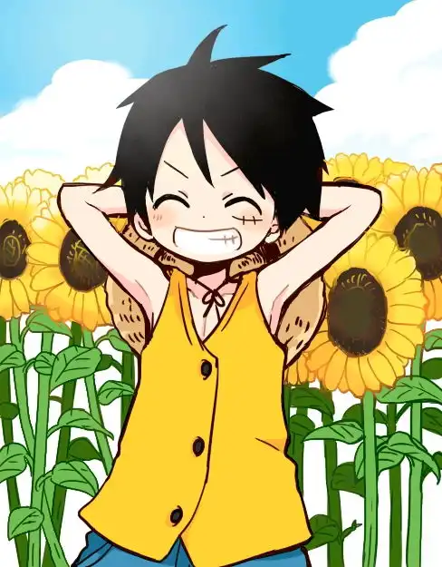 草帽小子蒙奇d路飞同人图