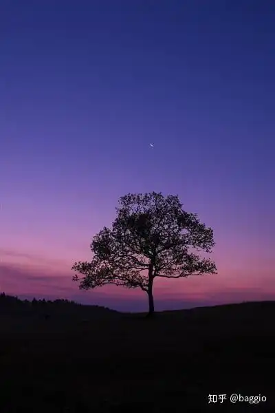 念爱两年结婚四年,孩子一岁多,突然发现老婆精神出轨四年最最奇葩的是我帮老婆和她前男友开过房