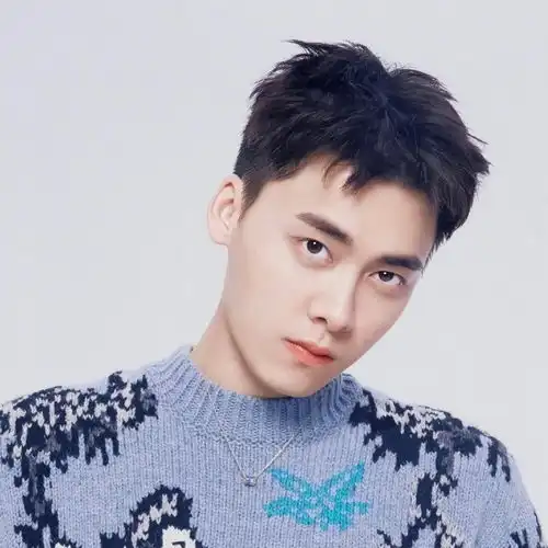 李易峰头像