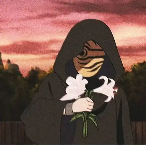 带土头像壁纸合集仅虎皮4