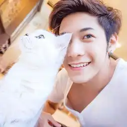 sorry,赵薇周冬雨黄晓明是谁我们是来看他的