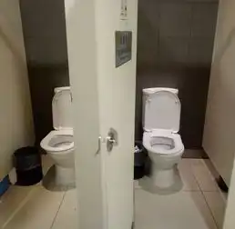 多数女性嫌弃公共马桶这些场所的公厕改成蹲厕可好