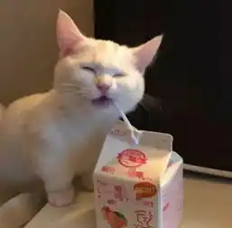 萌宠情头火了,每个都超甜腻,网友男友换上秒变小奶狗