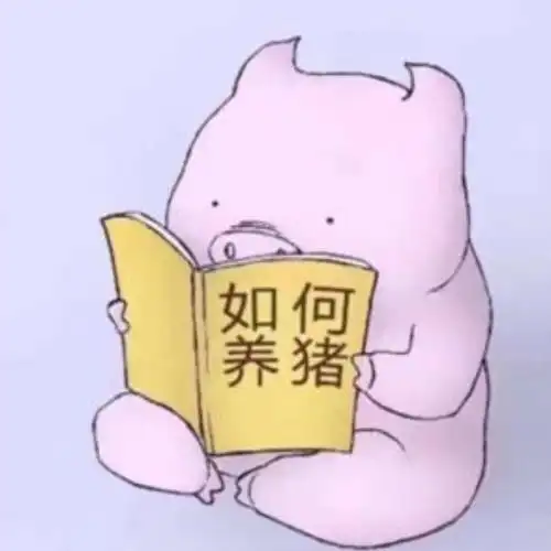 如何评价柳州螺蛳粉里的酸笋