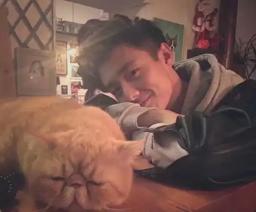 一个直男癌的自述我这么优秀,怎么可能找不到对象