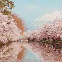 2017微信风景静物头像微信头像图片大全